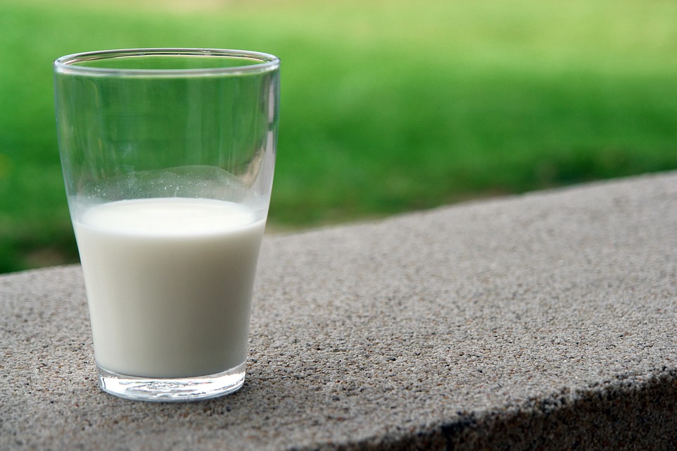 Help! Ik ben lactose intolerant, en nu?
