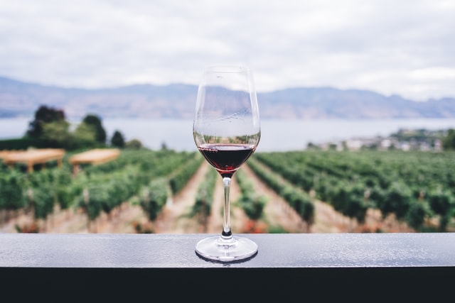 Een glaasje wijn af en toe is gezond